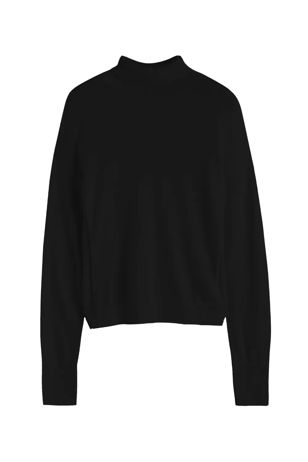 Black Pure Merino Rollneck Sweater